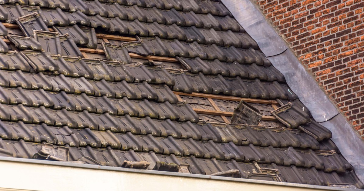 Stormschade? Wacht niet tot het te laat is. Bel ons nu voor professioneel stormschade herstel.